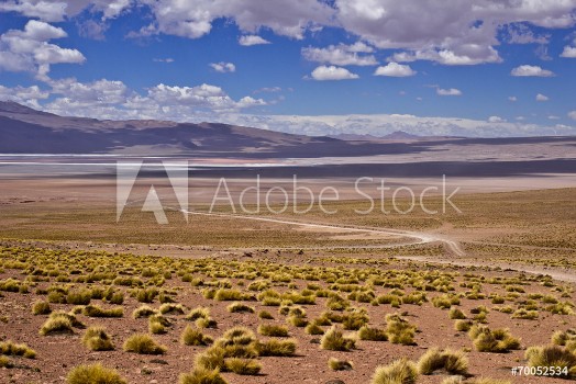 Picture of Deserto di DalBolivia